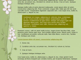 japan 9e4780a066 Free Email Templates